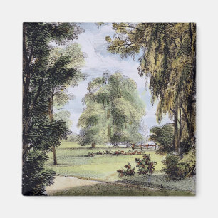 The Sister Trees, Kew Gardens, plate 8 from 'Kew G Magnet