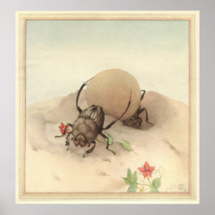 THE SISYPHUS - Insect Book Illustration Poster