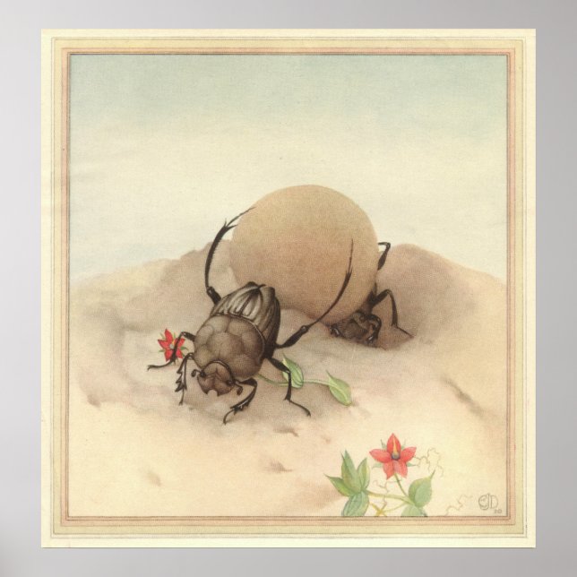 THE SISYPHUS - Insect Book Illustration Poster (Front)