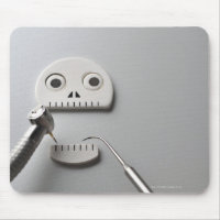 The skeleton which dental treatment is taken