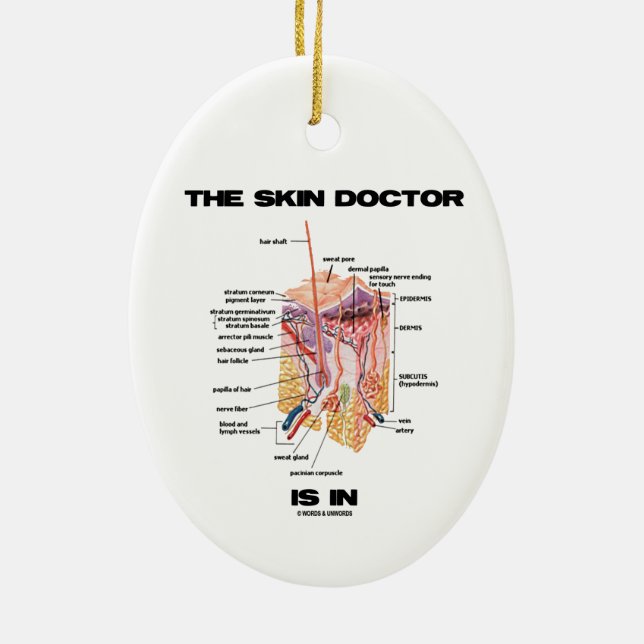 The Skin Doctor Is In (Anatomy Dermatology) Ceramic Tree Decoration (Back)