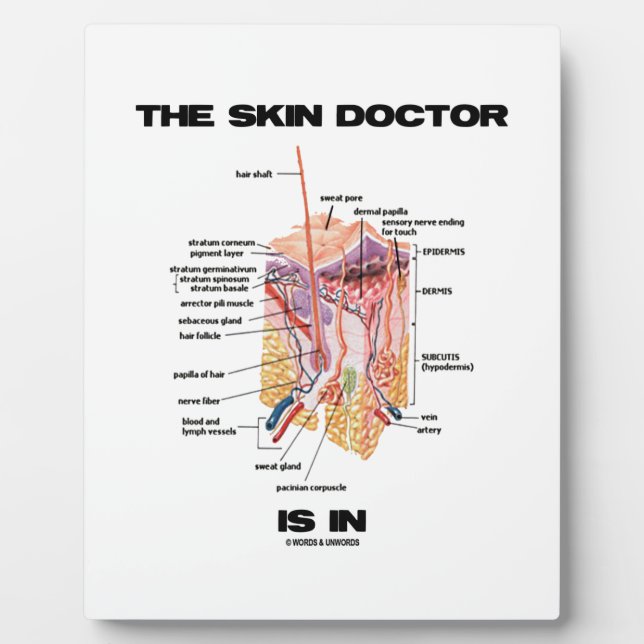 The Skin Doctor Is In (Anatomy Dermatology) Plaque (Front)