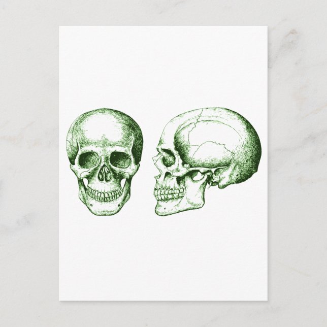 The Skull Postcard (Front)