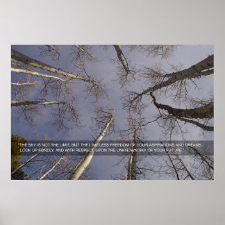 The sky is not the limit... poster