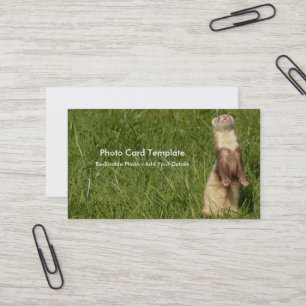 The Sky is Up Ferrets Business Card