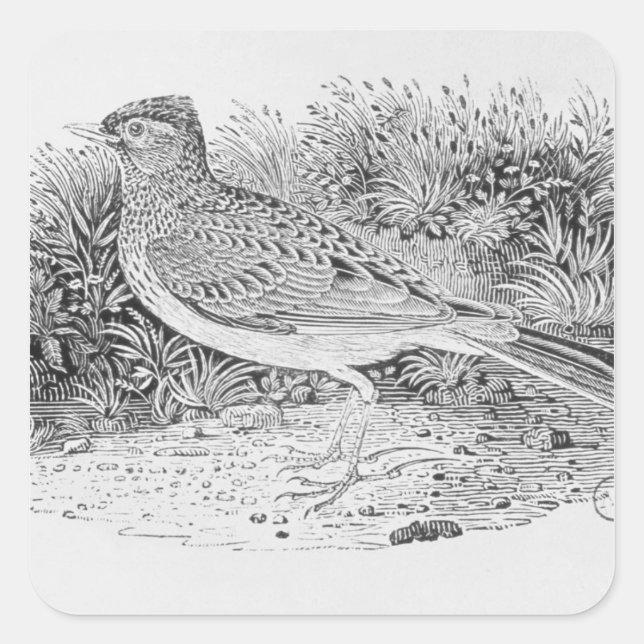 The Skylark Square Sticker (Front)