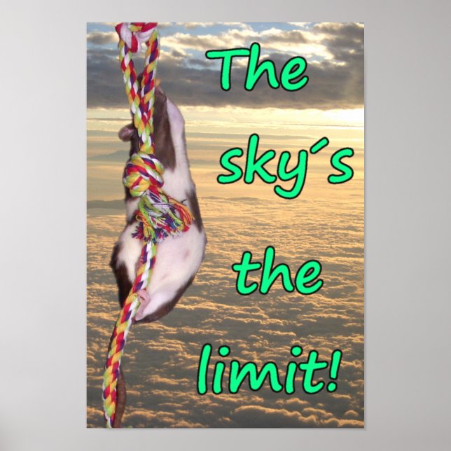 The Sky's the Limit! (Inspirational Rat Poster) Poster (Front)