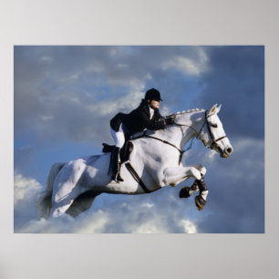 The Sky's The Limit Poster