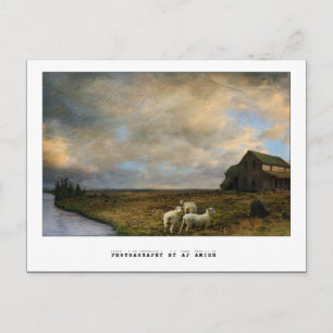 The Slaughter - Postcard