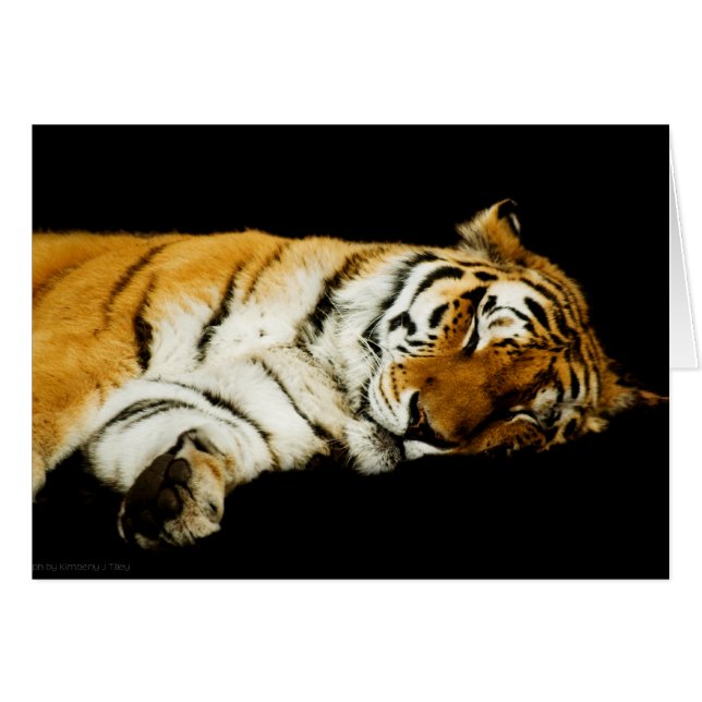 The Sleeping Amur Card (Front Horizontal)