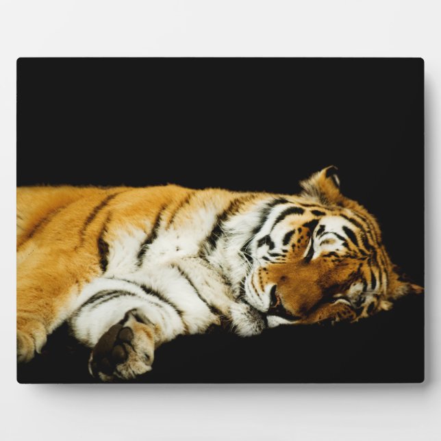 The Sleeping Amur  Plaque (Front)