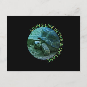 The Slow Lane Holiday Postcard