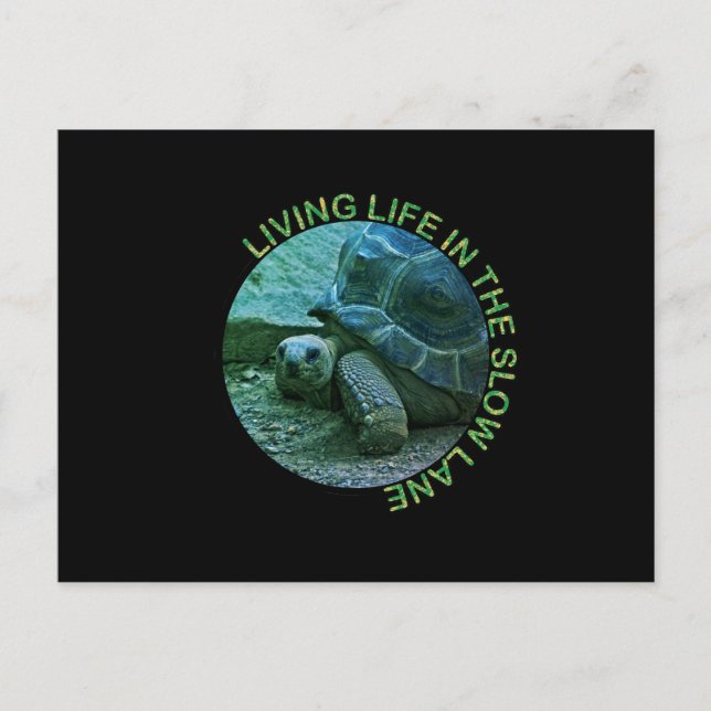 The Slow Lane Holiday Postcard (Front)