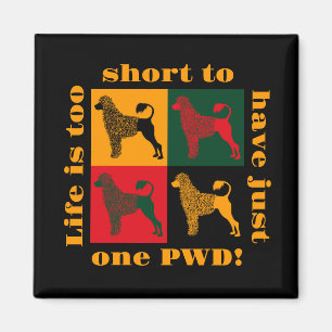 The smart Portuguese water dog  Magnet