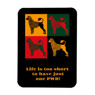 The smart Portuguese water dog  Magnet