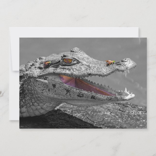 The smiling crocodile and the flies - Costa Rica Invitation (Front)
