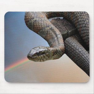 The snake and the rainbow mouse mat