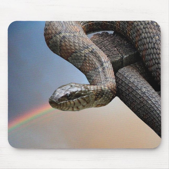 The snake and the rainbow mouse mat (Front)