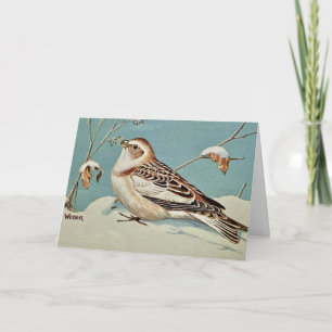 The Snow Bunting Holiday Card