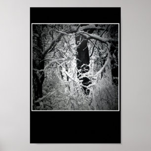 the snow queen's bower poster