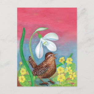 The snowdrop and the wren bird summon the spring holiday postcard