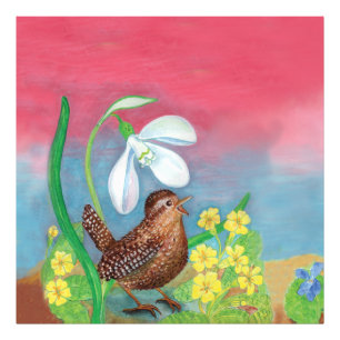 The snowdrop and the wren bird summon the spring  photo print