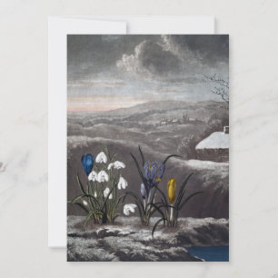 The snowdrop holiday card
