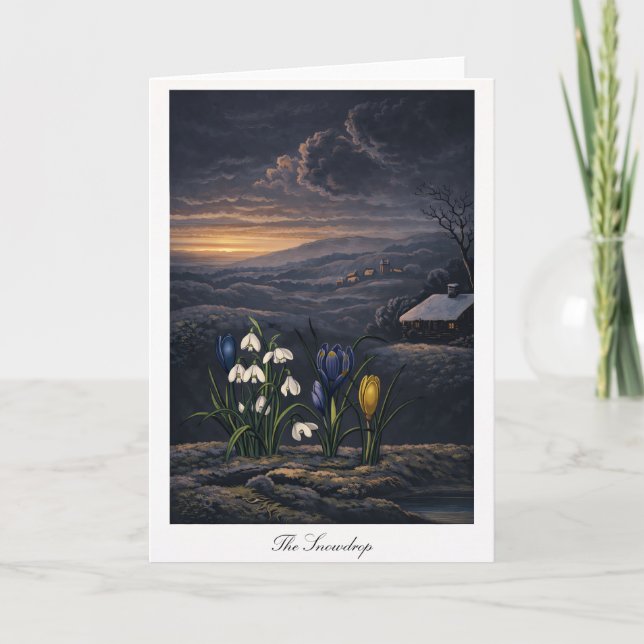 The Snowdrop — Modern Botanical Reinterpretation Card (Front)