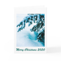 The Snowy Bough Note Card