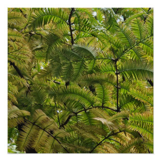 The soft conquers the hard poster