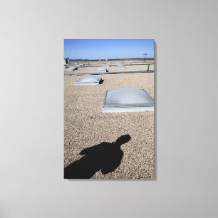 The solar day lighting system canvas print