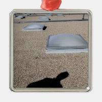The solar day lighting system