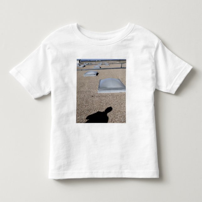 The solar day lighting system toddler T-Shirt (Front)