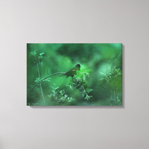 The Song Canvas Print