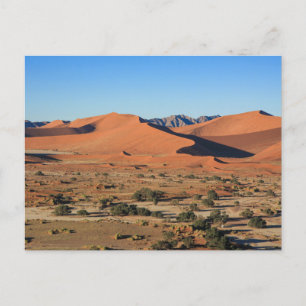 The Sossusvlei dunes in Namibia postcard