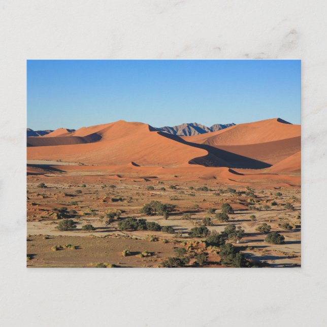 The Sossusvlei dunes in Namibia postcard (Front)