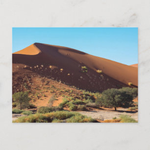 The Sossusvlei dunes in Namibia postcard
