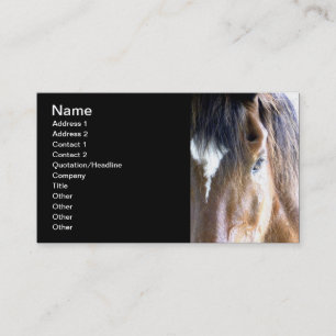 The Soul l Equine/Horse Related-Business Business Card