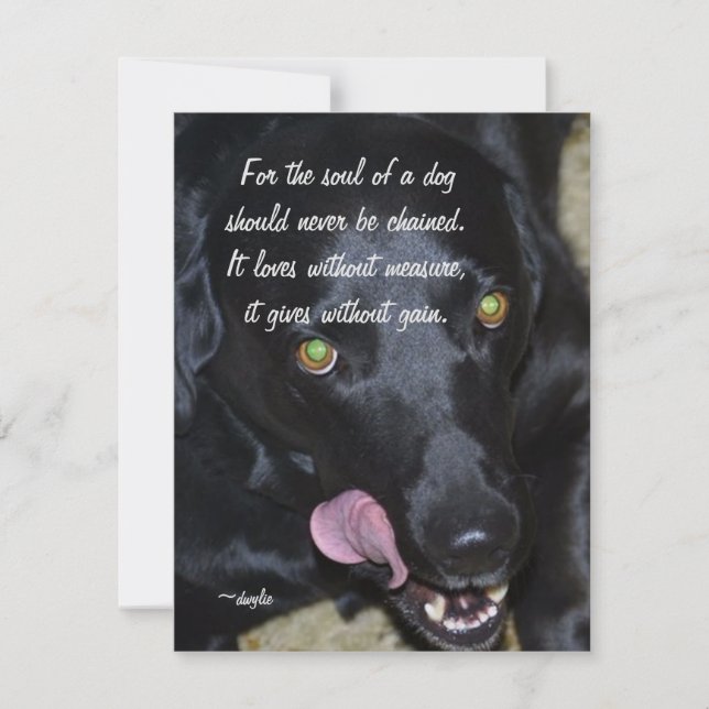 The Soul of a Dog - Black Lab Holiday Card (Front)