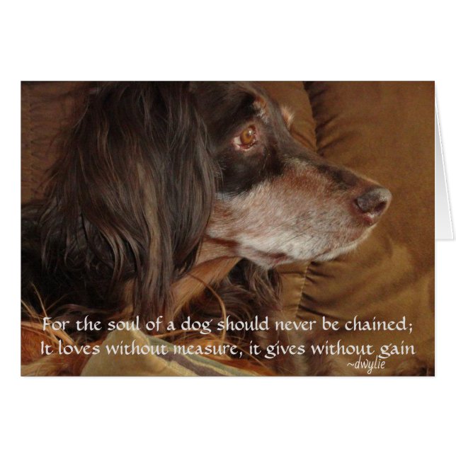 The Soul of a Dog - "For Milly" (Front Horizontal)