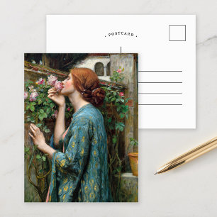 The Soul of the Rose John William Waterhouse Postcard