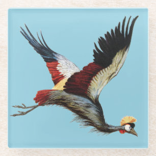 The South African crowned crane in mid-flight Glass Coaster