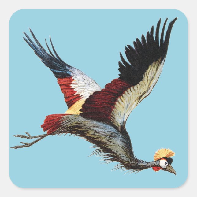 The South African crowned crane in mid-flight Square Sticker (Front)