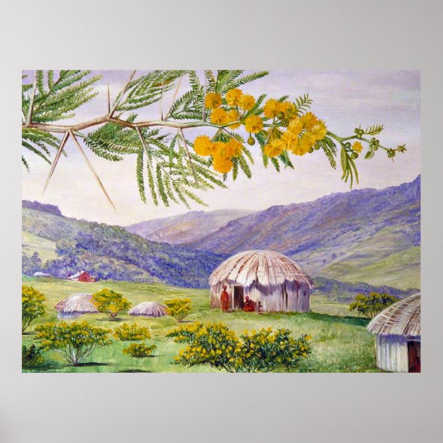 The South African Doornboom and Fingo Huts Poster (Front)