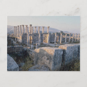 The South Decumanus, Jerash, Jordan Postcard