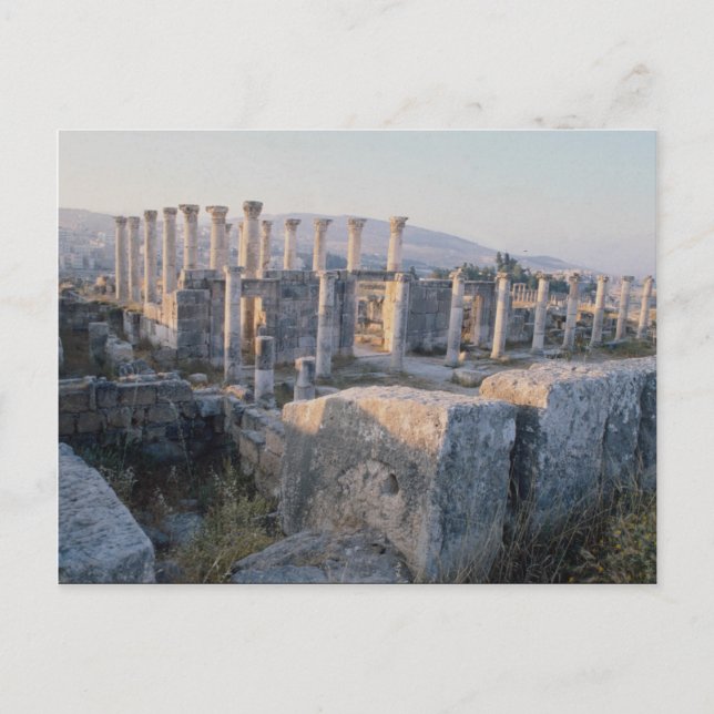 The South Decumanus, Jerash, Jordan Postcard (Front)