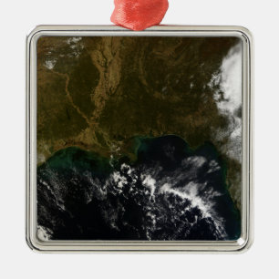 The southeastern United States Metal Tree Decoration