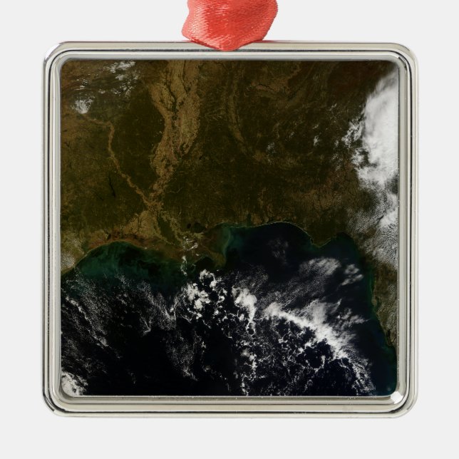The southeastern United States Metal Tree Decoration (Front)