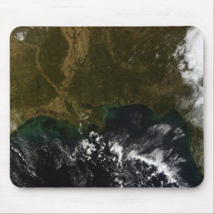 The southeastern United States Mouse Mat