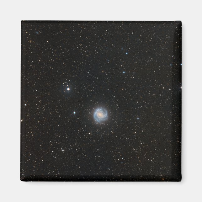 The Southern Pinwheel Galaxy 2 Magnet (Front)